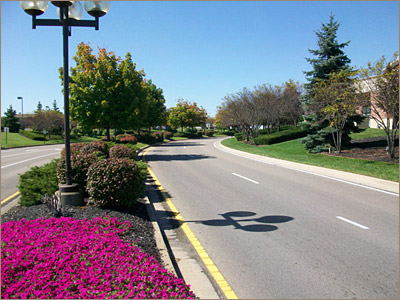 Landscaping