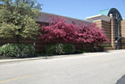 Exterior Landscaping