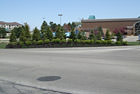 Exterior Landscaping