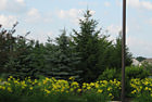 Exterior Landscaping