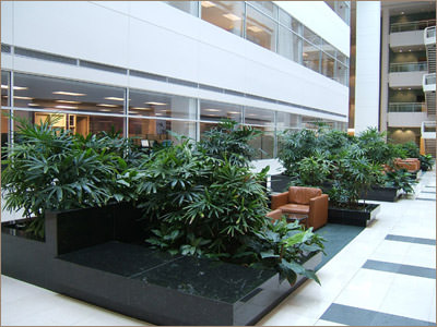 Plantscaping
